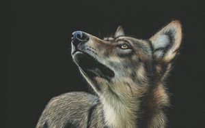 Preview wallpaper wolf, art, drawing, dark, glance