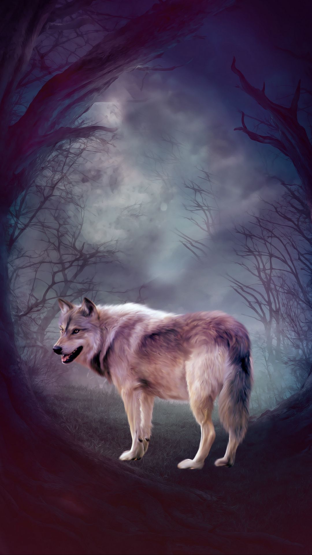 Download Wallpaper 1080x1920 Wolf, Art, Forest, Predator Samsung Galaxy 