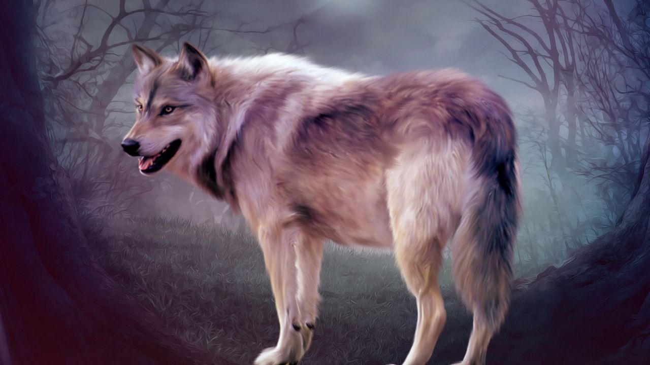Wallpaper wolf, art, forest, predator