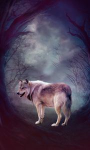 Preview wallpaper wolf, art, forest, predator