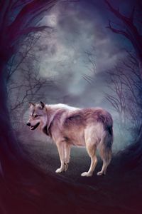 Preview wallpaper wolf, art, forest, predator