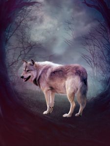 Preview wallpaper wolf, art, forest, predator