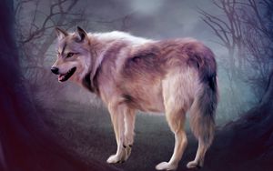 Wallpaper Wolf, Forest, Autumn, Tree, Predator Hd, Picture, Image