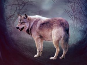 Preview wallpaper wolf, art, forest, predator