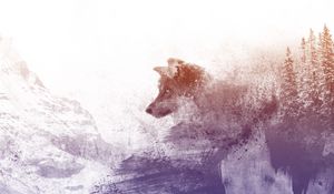 Preview wallpaper wolf, art, photoshop, predator