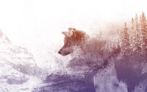Preview wallpaper wolf, art, photoshop, predator