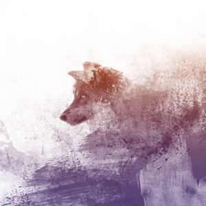 Preview wallpaper wolf, art, photoshop, predator