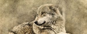 Preview wallpaper wolf, art, predator