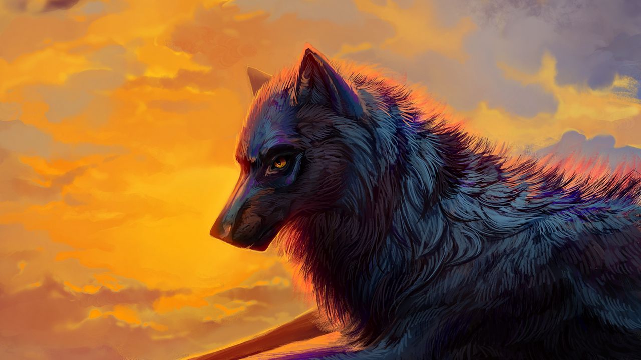 Wallpaper wolf, art, sunset, predator