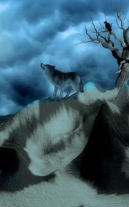 Preview wallpaper wolf, birds, alone, hills, night