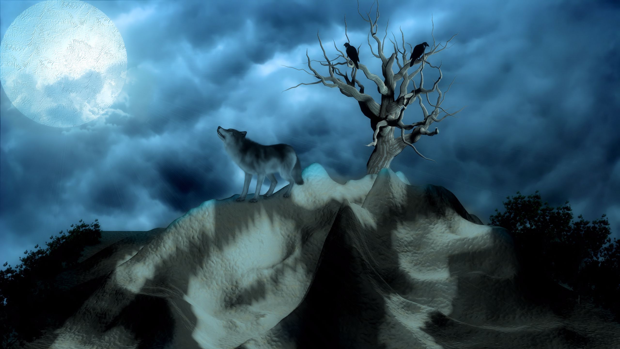 Download wallpaper 2560x1440 wolf, birds, alone, hills, night