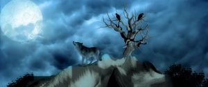 Preview wallpaper wolf, birds, alone, hills, night