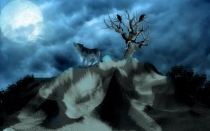 Preview wallpaper wolf, birds, alone, hills, night