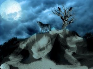 Preview wallpaper wolf, birds, alone, hills, night