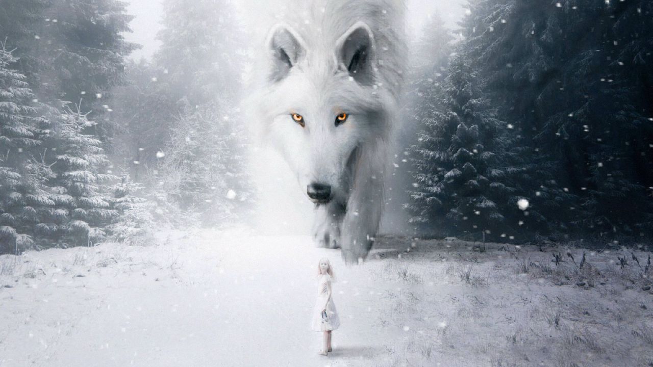 Wallpaper wolf, child, photoshop, white, snow, fog