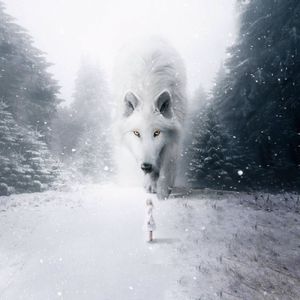 Preview wallpaper wolf, child, photoshop, white, snow, fog