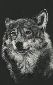 Preview wallpaper wolf, drawing, art, predator, head