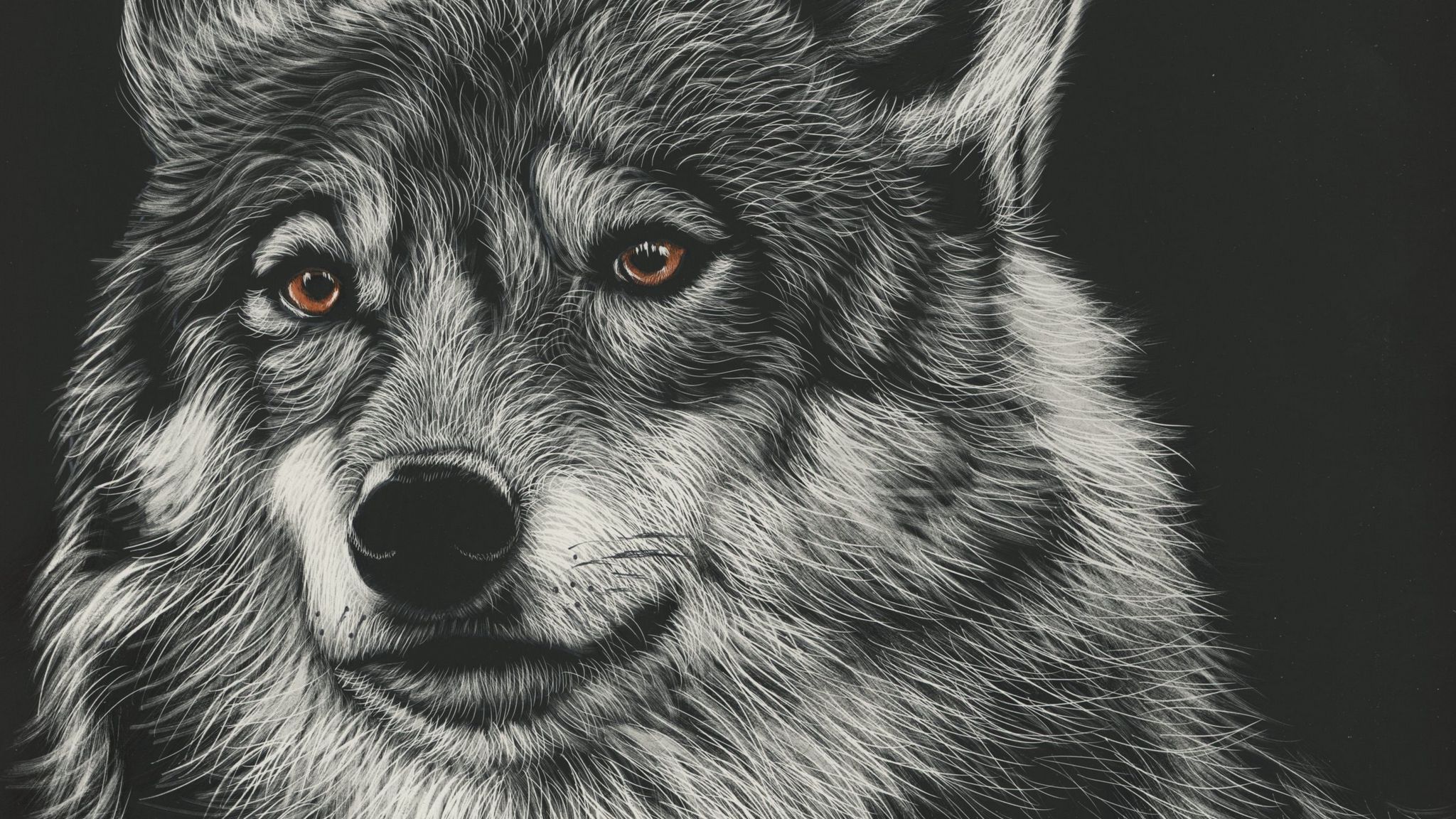 Красивые обои на телефон волк. Волк рисунок. Морда волка. Волк обои. Морда волка арт.