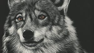 Preview wallpaper wolf, drawing, art, predator, head