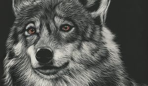 Preview wallpaper wolf, drawing, art, predator, head
