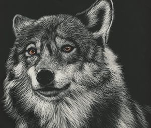 Preview wallpaper wolf, drawing, art, predator, head