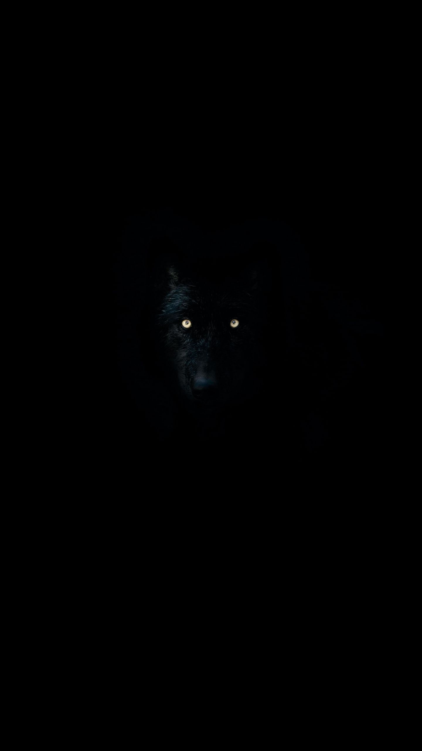 black wolf wallpaper hd
