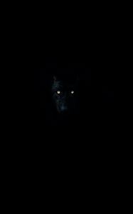 Preview wallpaper wolf, eyes, darkness, dark, animal