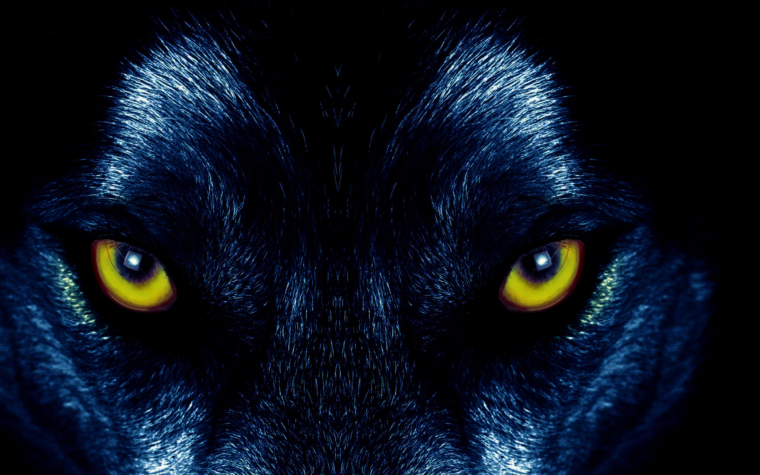 Download wallpaper 2560x1600 wolf, eyes, predator, sight widescreen 16: ...