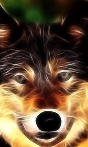 Preview wallpaper wolf, face, light, lines