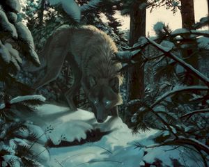 Preview wallpaper wolf, forest, snow, art, predator, trees