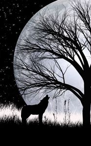 Preview wallpaper wolf, full moon, silhouettes, art, vector, photographer