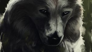 Preview wallpaper wolf, glance, art, predator, beast