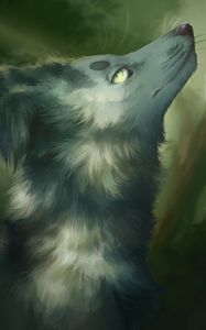 Preview wallpaper wolf, gray, animal, glance, art