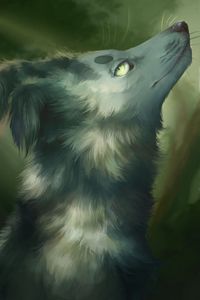 Preview wallpaper wolf, gray, animal, glance, art