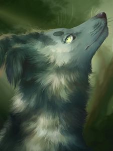 Preview wallpaper wolf, gray, animal, glance, art