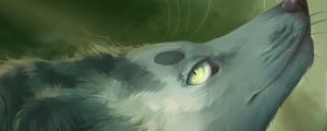 Preview wallpaper wolf, gray, animal, glance, art