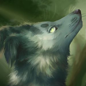 Preview wallpaper wolf, gray, animal, glance, art