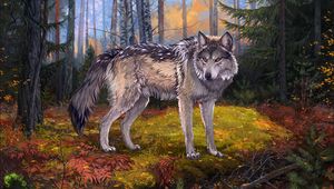 Preview wallpaper wolf, gray, forest, wildlife, art