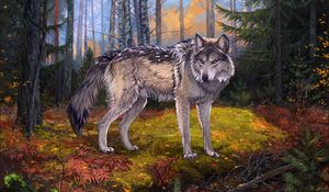 Preview wallpaper wolf, gray, forest, wildlife, art