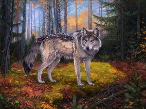 Preview wallpaper wolf, gray, forest, wildlife, art