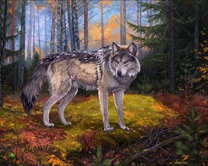 Preview wallpaper wolf, gray, forest, wildlife, art