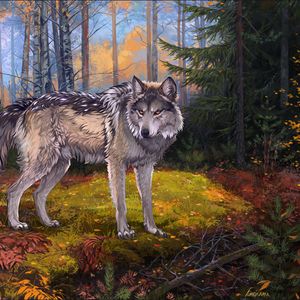 Preview wallpaper wolf, gray, forest, wildlife, art