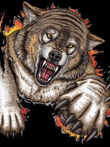 insanity wolf wallpaper