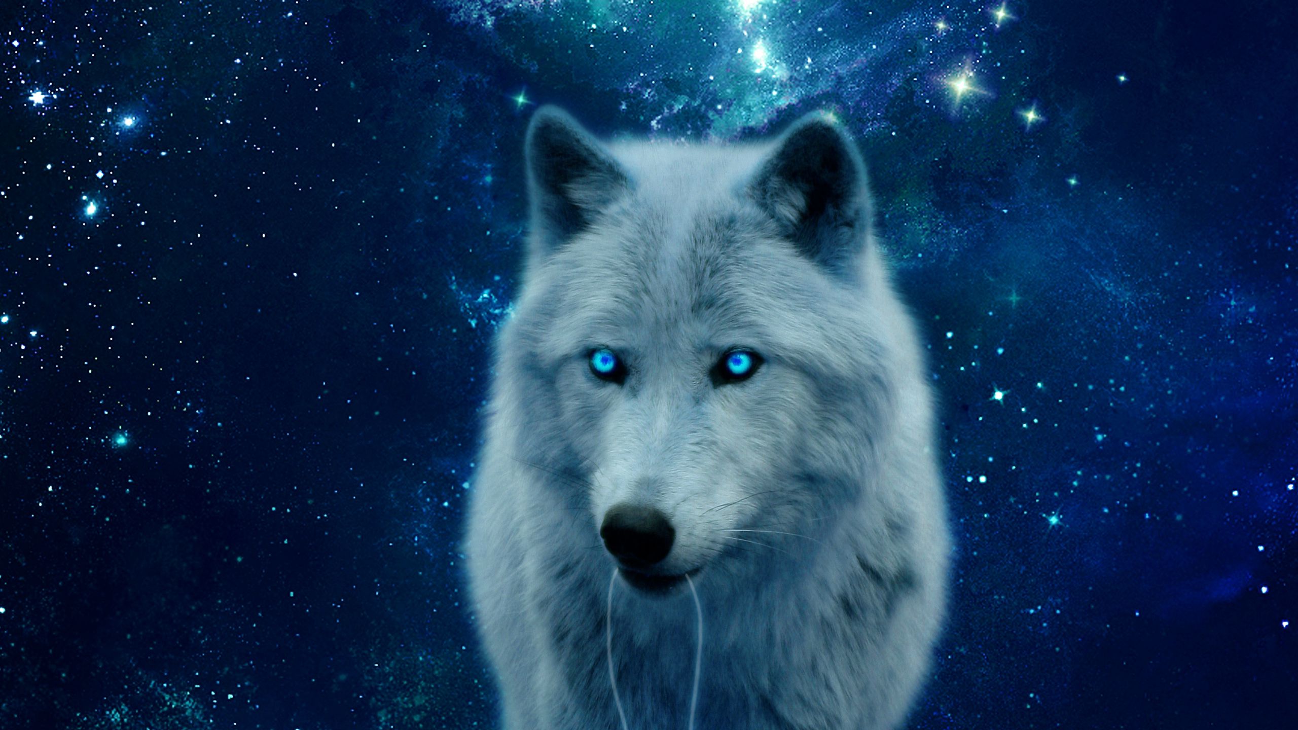 Download wallpaper 2560x1440 wolf, hill, glow, predator, wildlife ...