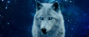 Preview wallpaper wolf, hill, glow, predator, wildlife, photoshop