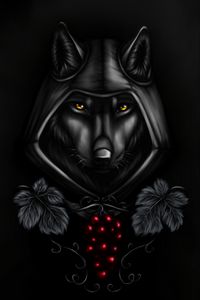 Preview wallpaper wolf, hood, cloak, art, black