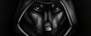 Preview wallpaper wolf, hood, cloak, art, black