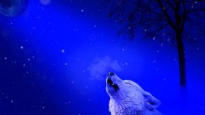 Preview wallpaper wolf, howl, loneliness, predator