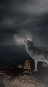 Preview wallpaper wolf, howl, moon, full moon