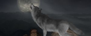 Preview wallpaper wolf, howl, moon, full moon